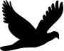 Burningbird Phoenix logo in silhouette