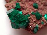 Multiple Dioptase Crystals