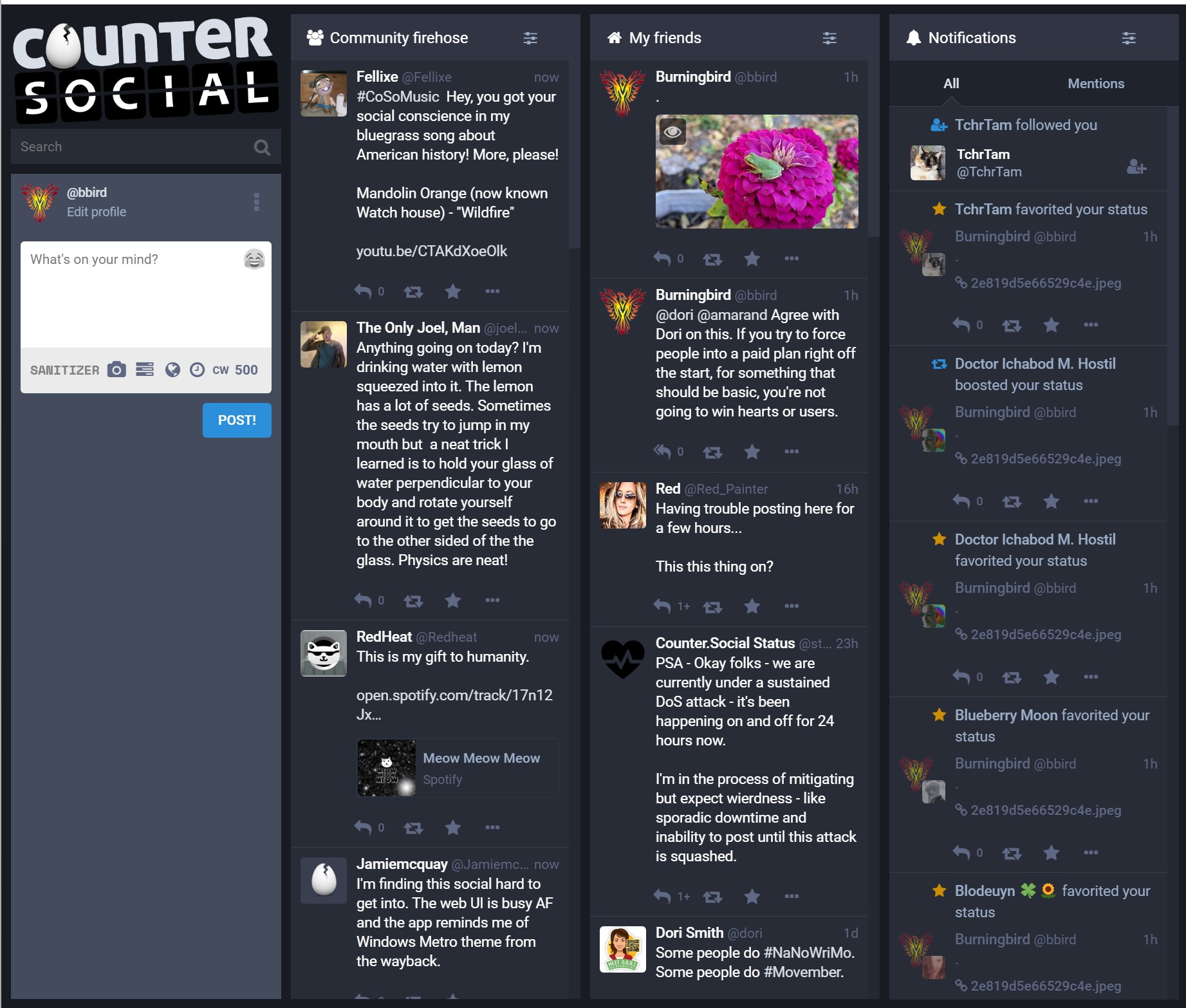 screenshot of counter.social with the cruft turned off
