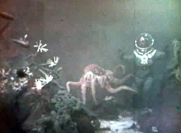Underwater octopus