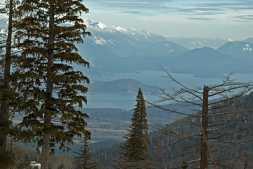 Mountains and Pend Oreille Lake from Schweitzer