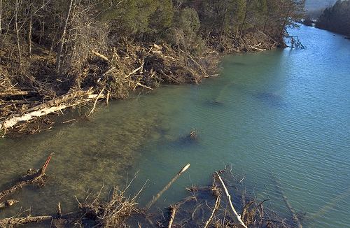 Unusual color in Black River