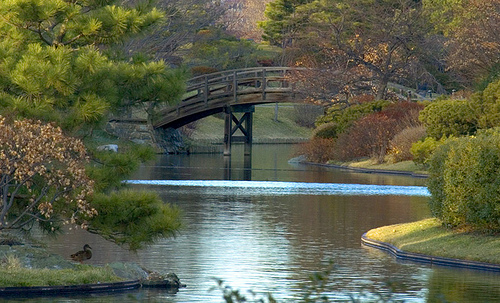 Japanese Garden bridge