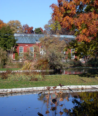 fall photo from tower grove