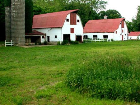 farmhouses2.jpg