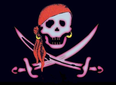 Jolly Roger Pirate Flag does pink
