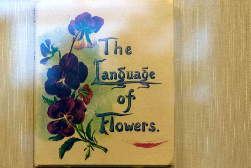 Language of Flowers book cover