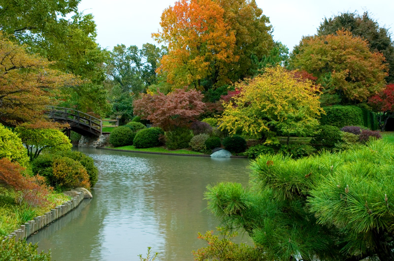 Botanical Gardens Japanese Lake with colorful fall foliage