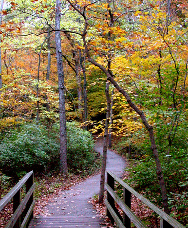 fall path