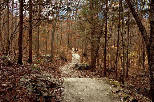 Trail in the fall
