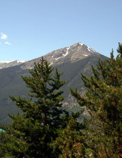 Rocky Mountain forest