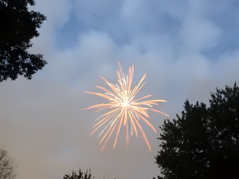 Exploding firework in sky