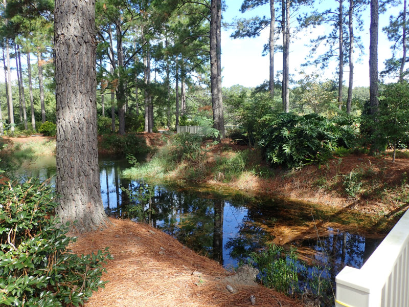 Photo of Lake area for Botanical Gardens