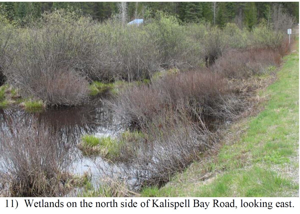 From the report: wetland