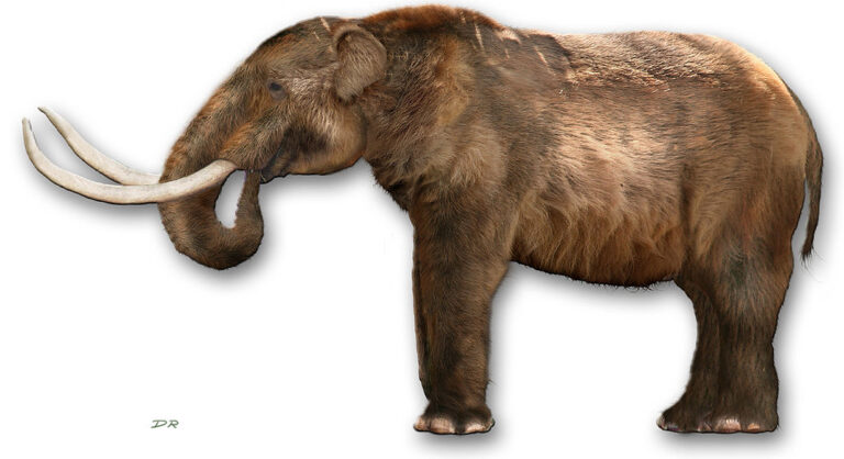 Image of mastodon