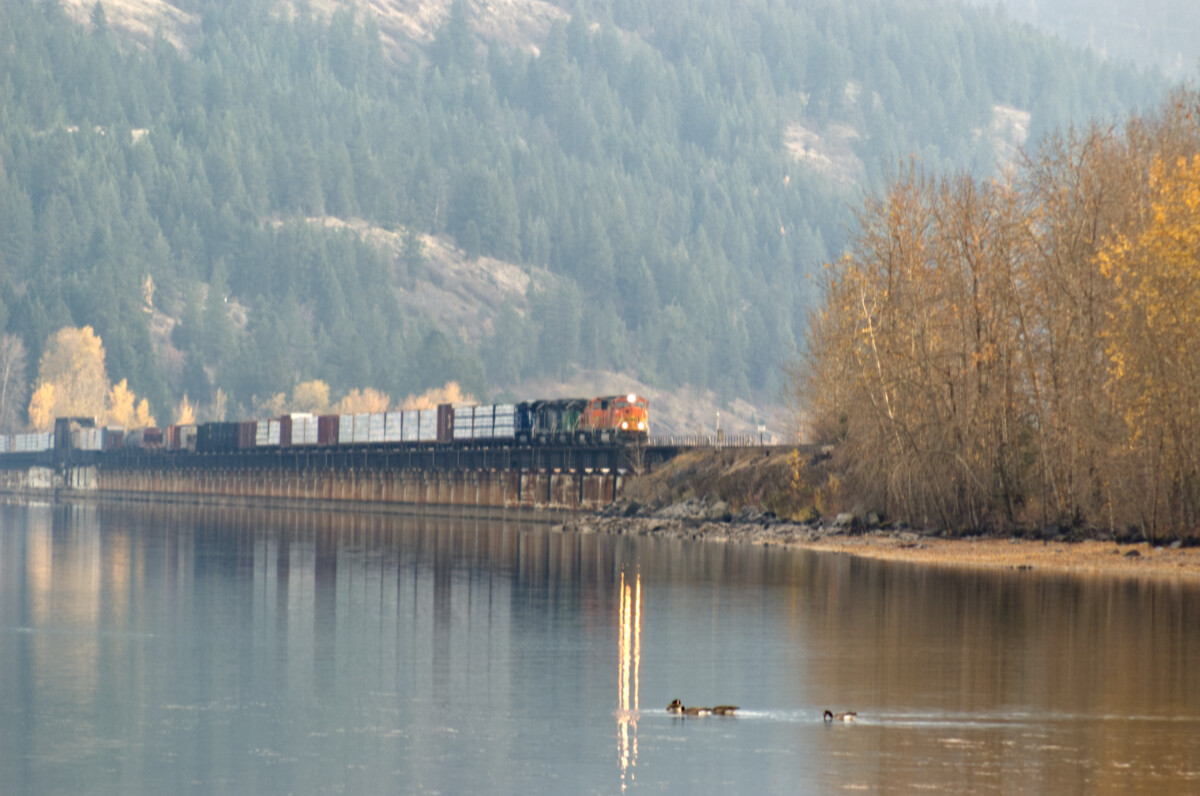 Train crossing a trestle bridge with light on, reflected in lake with ducks swimming past. Mountain range in the background. Fall colors, muted.