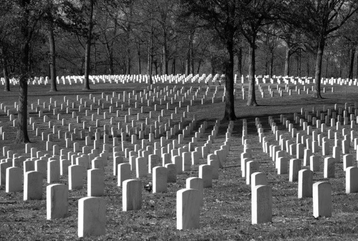Black and white photo of rows and rows of headstones along gently rolling hills and among trees at a military cemetery