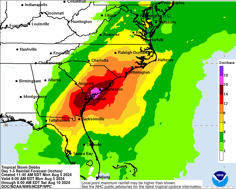 NOAA's rain chance graphic, showing most rain going into South Carolina just north of Savannah