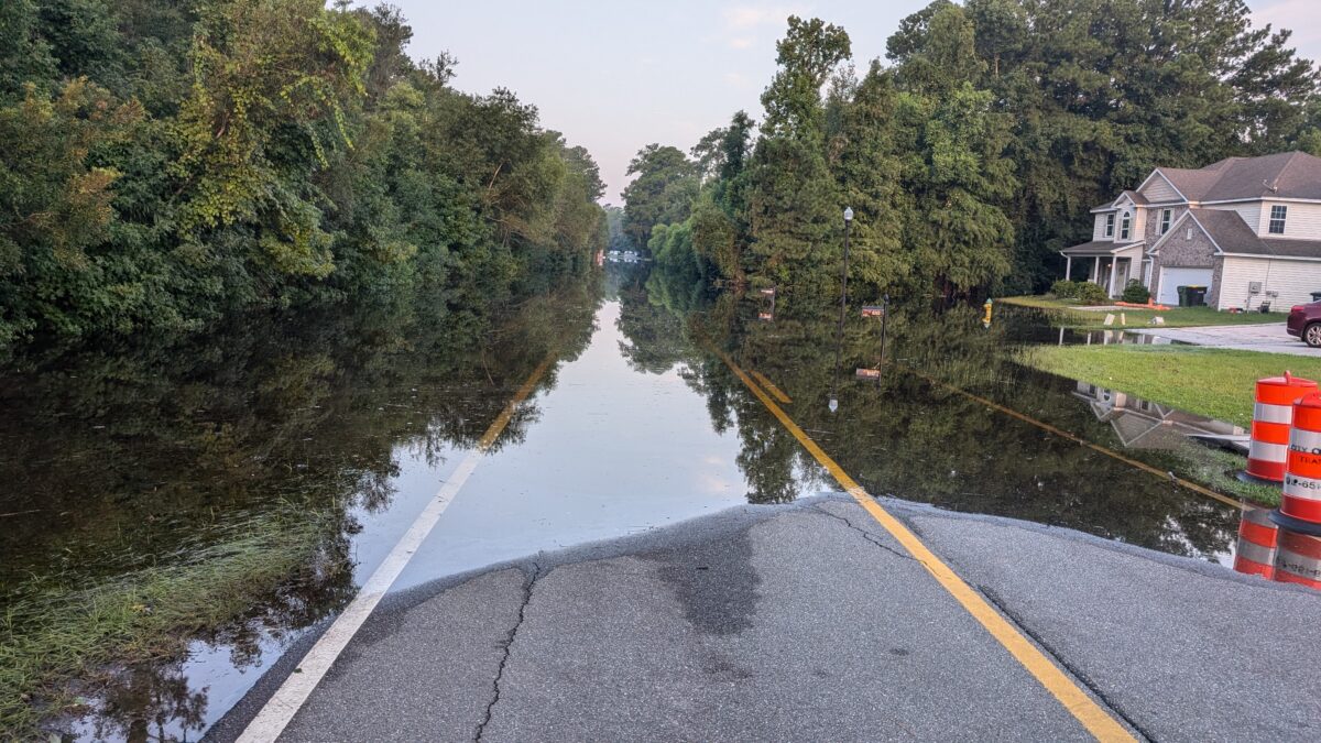 Flooded neighborhood with water, calm and glassy on the road, trees on either side