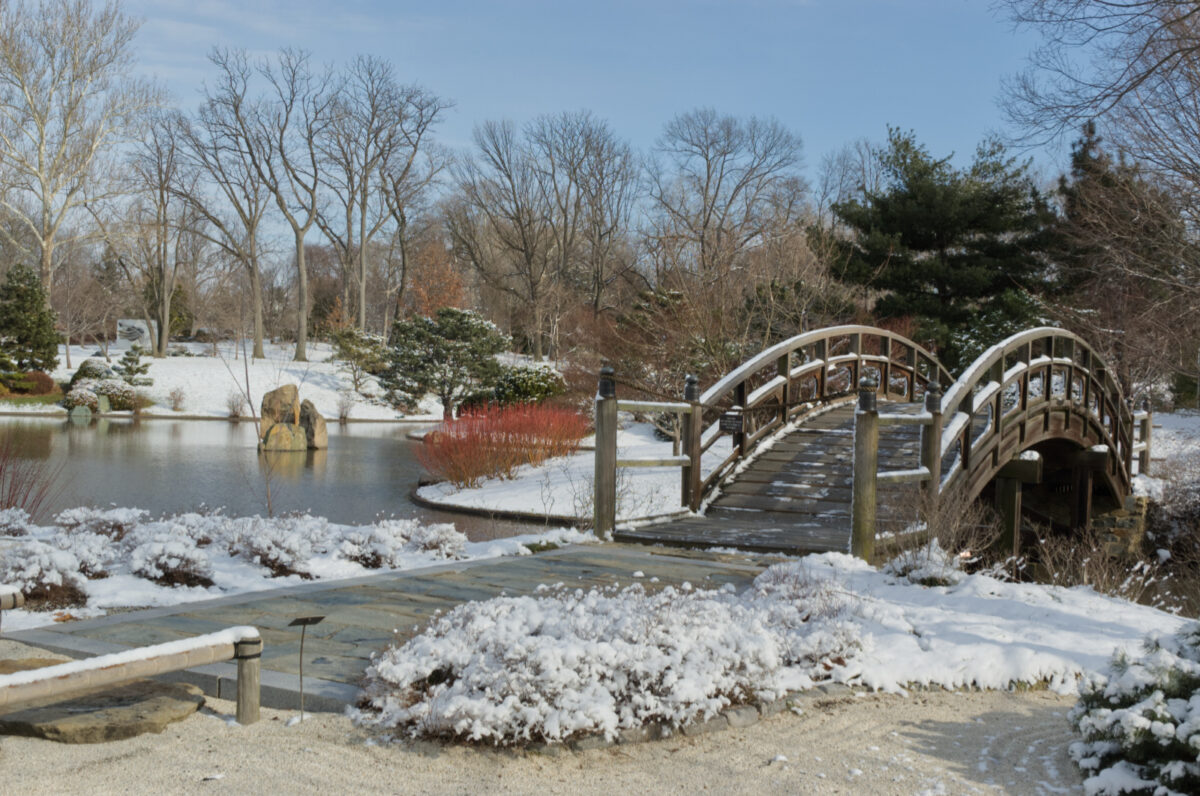 Japanese garden in winter. Wood bridge over water to island, with rock garden in front, bare trees in background except for a few evergreen, and a red dogwood. Snow lightly covering everything. Sunny day, muted blue sky.