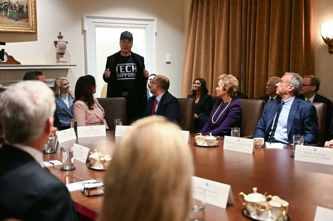 Musk domineering Trump's first cabinet meeting...and not wearing a suit.